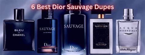 dior perfume dupes|best dior sauvage dupe.